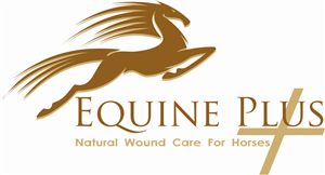 Logo Design by Sandro