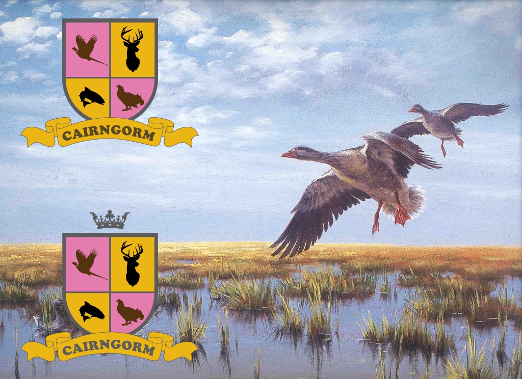 Logo-Design von SeXtreme für dieses Projekt | Design #3958749