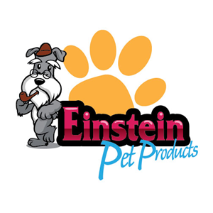 Logo Design by AngelGu