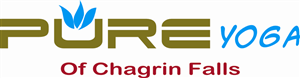Logo Design by New Lightning