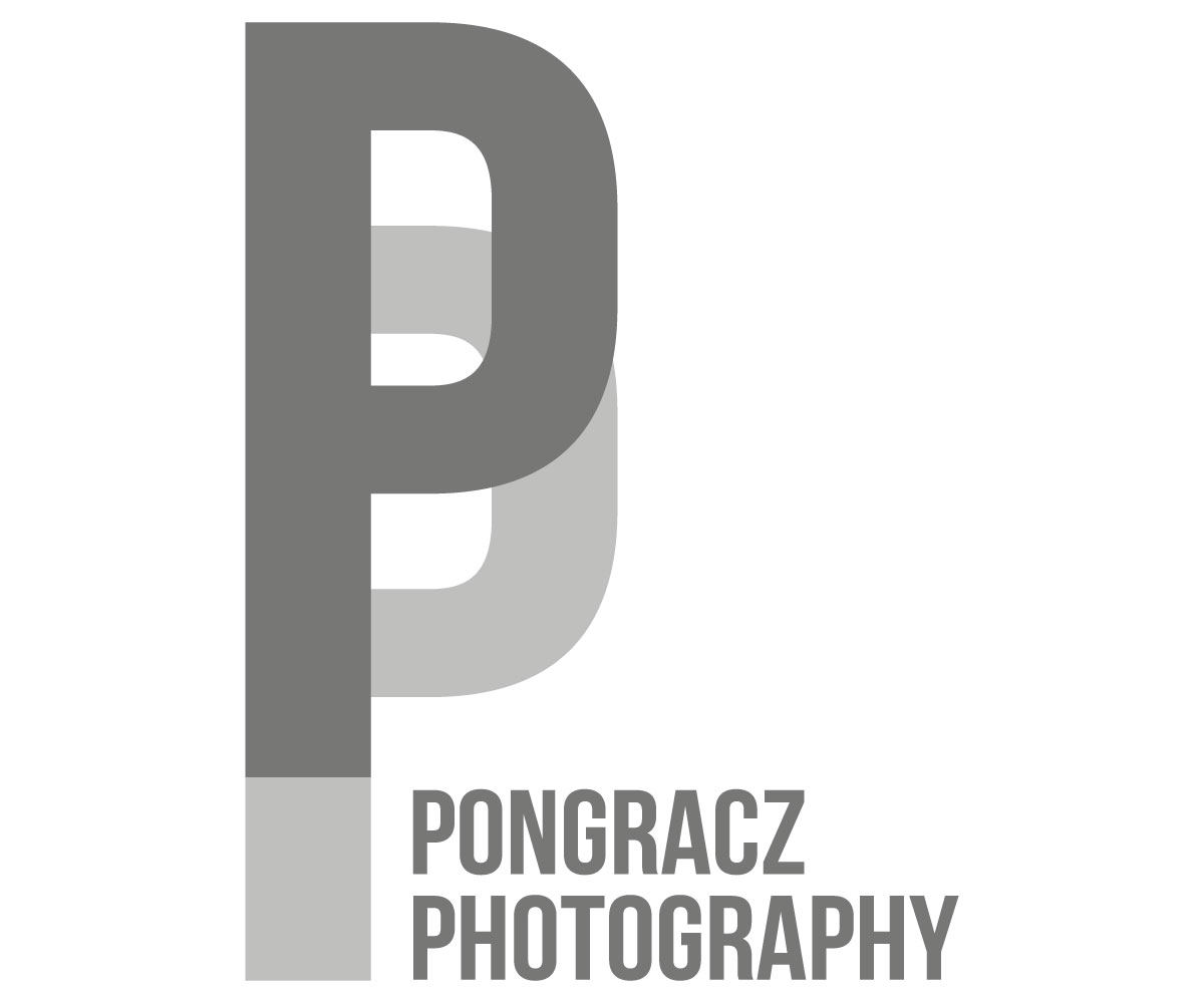 Logo-Design von rebeccaborn für dieses Projekt | Design #3956354