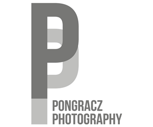 Logo Design by rebeccaborn