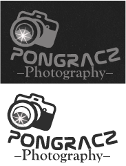 Diseño de Logo por shelly2340 para este proyecto | Diseño #3943407