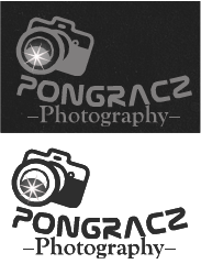 Logo Design by shelly2340