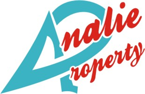 Diseño de Logo por RAHIM RAISANI para Analie Sarl | Diseño #1063121