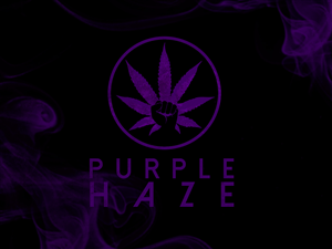 Design de Logo par petenelson pour purple haze collective | Design : #3963328