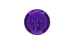 Design de Logo par Laleh pour purple haze collective | Design : #3948401