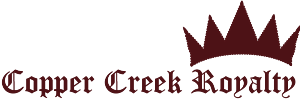 Logo Design by navin singarayan