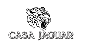Logo Design by momisingh