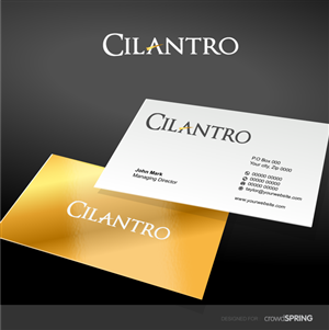 Diseño de Tarjeta de Presentación por designgreen para este proyecto | Diseño: #1065818