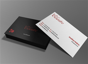 *** Business Card Design Project | Business Card Design by navacreative
