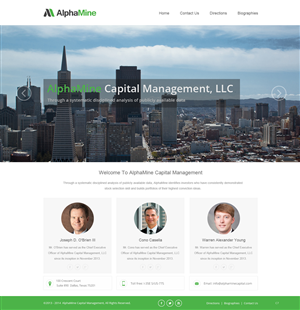 Web Design by pb for this project | Design: #3950156