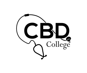 Logo Design by successd
