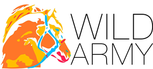Logo Design by Queen Designer