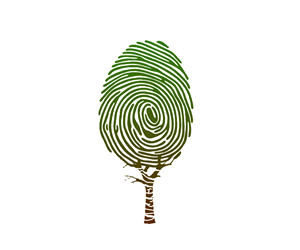 Logo Design by Isaac