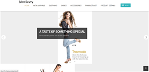 Web Design by ozonelixinfosoftpvtltd.