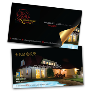 Business Card Design by geisha