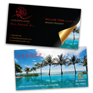 Business Card Design by geisha for this project | Design #1086234