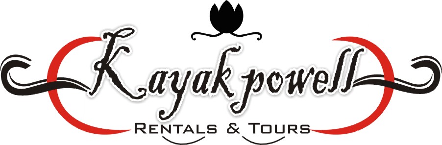 Logo Design by wajid ali for Red Canyon Adventures, LLC | Design #1067955