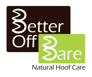 Logo Design by Hayley Dykes