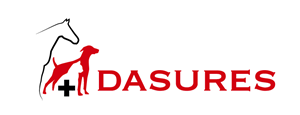 Dasures | Diseño de Logo por TSEdesign