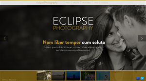 Wordpress Design by designbox