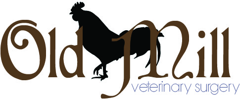 Logo-Design von HelloDanielle für dieses Projekt | Design #1071904