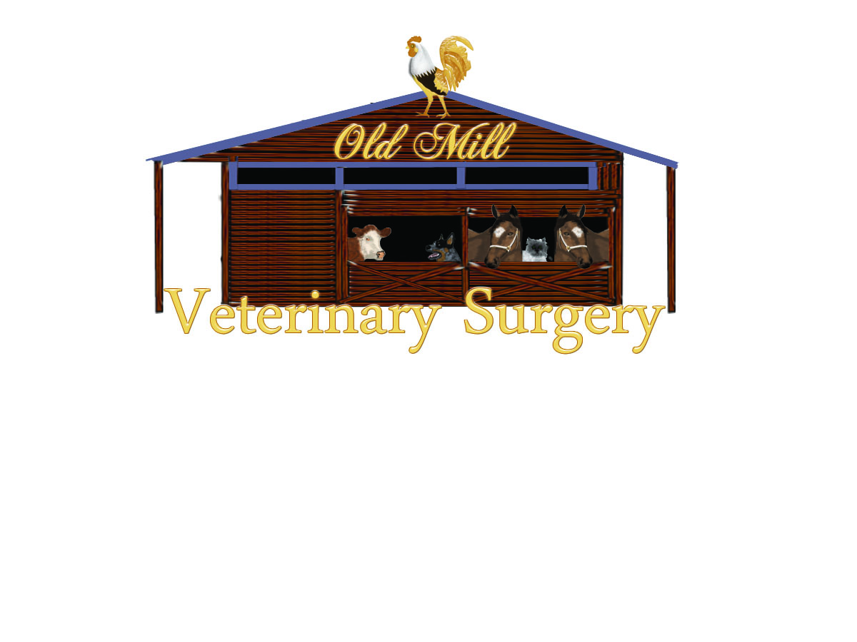 Design de Logo par kazzgem pour ce projet | Design #1092013