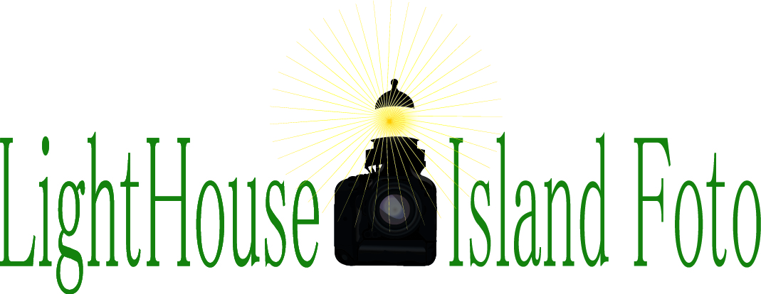 Logo Design by Time For Designs for Lighthouse Island Foto | Design #3979040