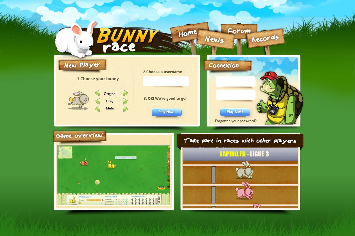 Web Design by MNM for Dindonus | Design #1110702