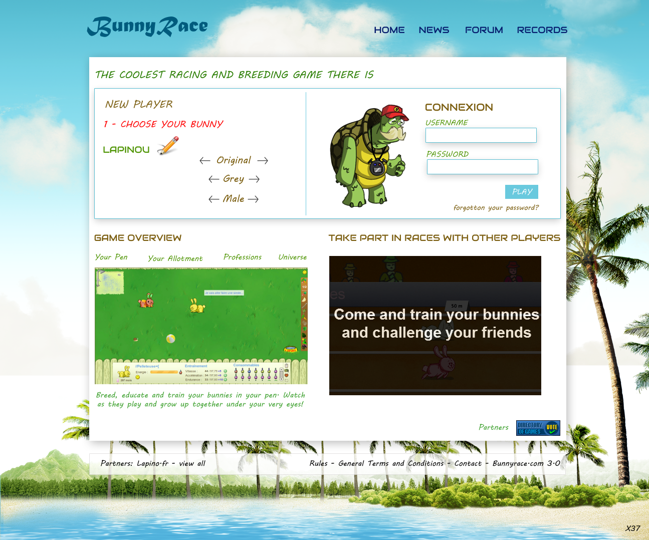 Web Design by pb for Dindonus | Design #1074611