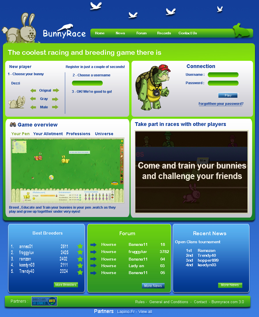 Web Design by Naavyd for Dindonus | Design #1106109