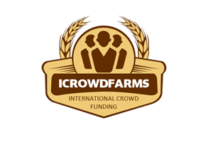Logo Design by TechWise