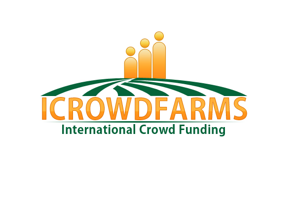 Logo Design by TechWise for Nico Helmets | Design #1080917