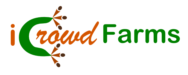 Logo Design by yogyadesigns for Nico Helmets | Design #1084109