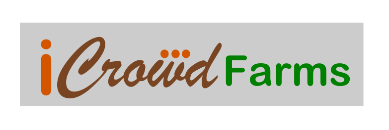 Logo Design by yogyadesigns for Nico Helmets | Design #1084110