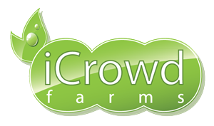Logo Design by xpertdesigner