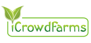 Logo Design by xpertdesigner for Nico Helmets | Design: #1077936