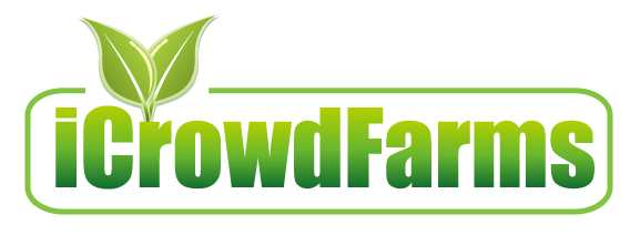 Logo Design by xpertdesigner for Nico Helmets | Design #1077944