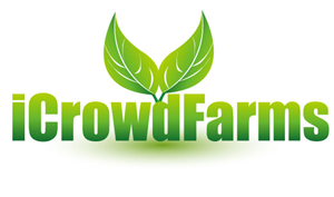 Logo Design by xpertdesigner for Nico Helmets | Design: #1077953