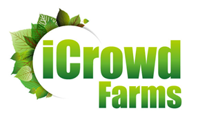 Logo Design by xpertdesigner for Nico Helmets | Design: #1077962