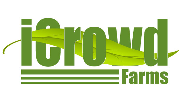 Logo Design by xpertdesigner for Nico Helmets | Design #1077996