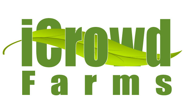 Logo Design by xpertdesigner for Nico Helmets | Design #1078001