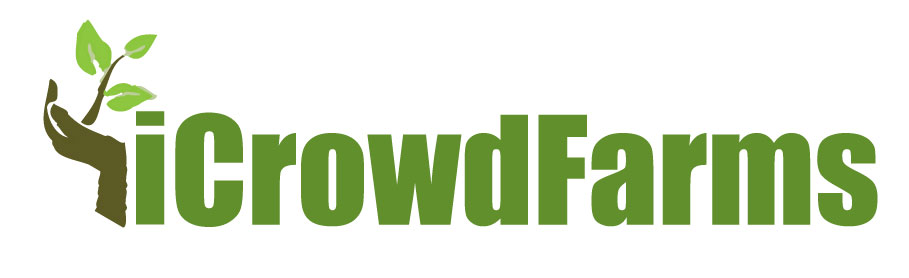 Logo Design by xpertdesigner for Nico Helmets | Design #1078013