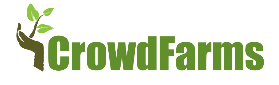 Logo Design by xpertdesigner for Nico Helmets | Design #1078017