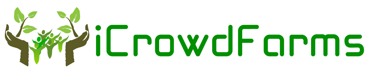 Logo Design by xpertdesigner for Nico Helmets | Design #1078819