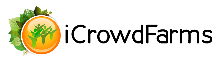 Logo Design by xpertdesigner for Nico Helmets | Design #1078843