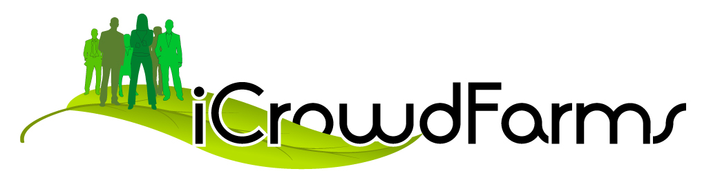 Logo Design by xpertdesigner for Nico Helmets | Design #1078929