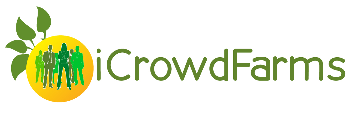 Logo Design by xpertdesigner for Nico Helmets | Design #1078933