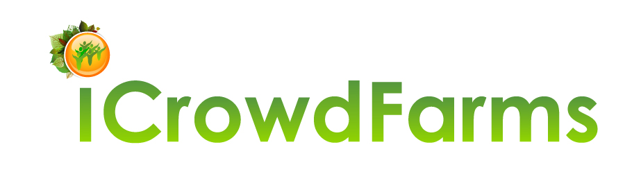 Logo Design by xpertdesigner for Nico Helmets | Design #1078941